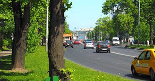 Посадка деревьев и кустарников в Каменске-Уральском — стоимость от 1277 руб.